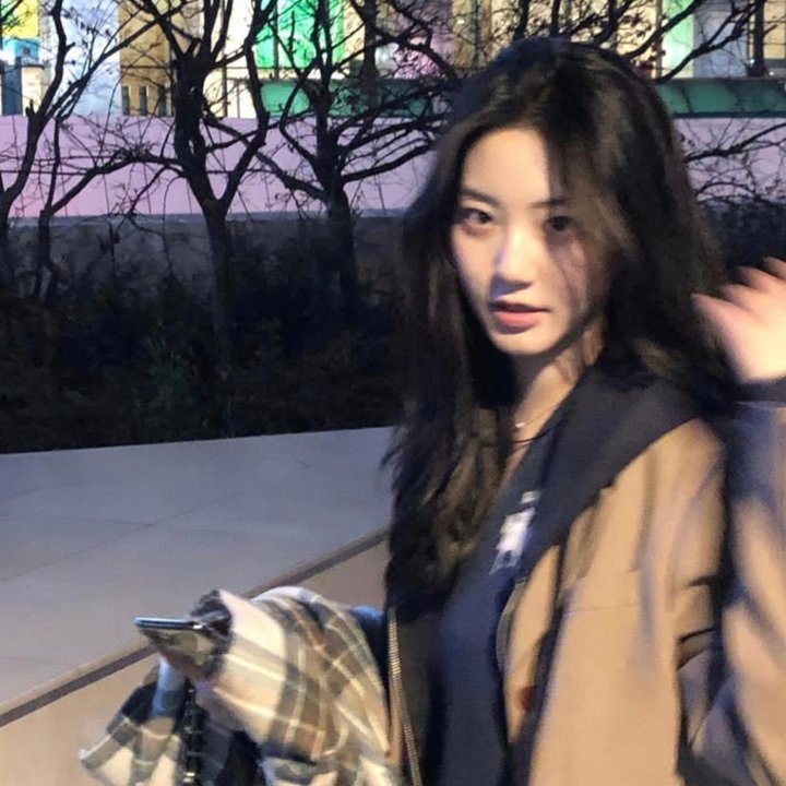 布里叶女士 海报