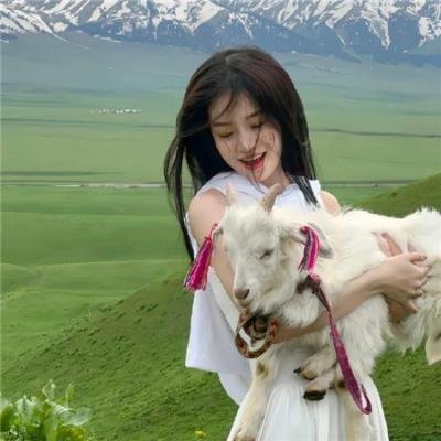 双重赔偿 海报
