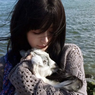 穆钦巴赫 海报